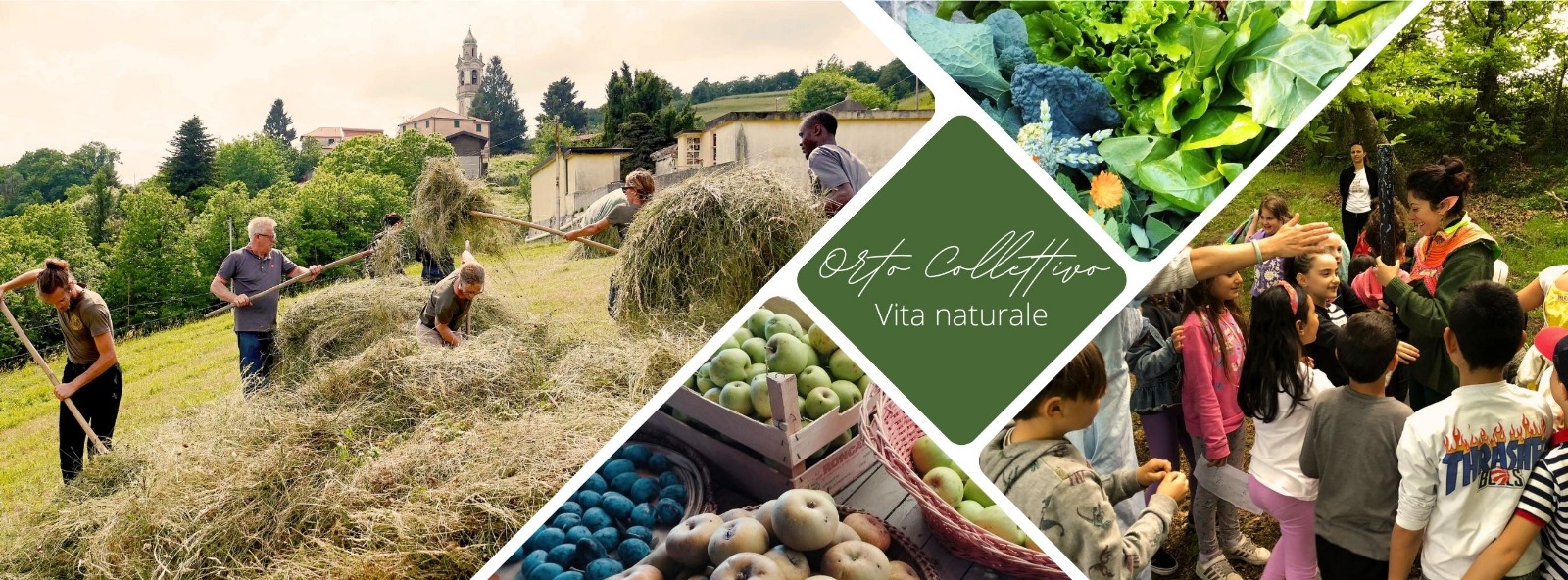 ortocollettivo associazione genova, vita naturale